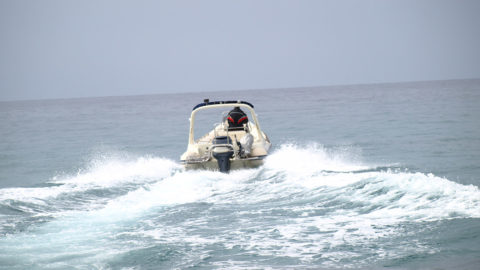 Rent a Rib - Alexander Rib Cruises