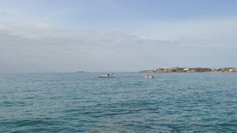 Rent a Rib - Alexander Rib Cruises