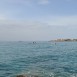 Rent a Rib - Alexander Rib Cruises
